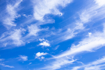 秋の空