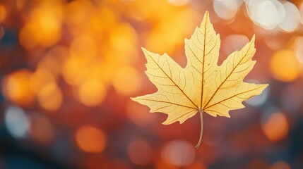 Fototapeta premium Close-up of a single yellow autumn leaf with bright orange trees in the background, set against a blurred bokeh backdrop, capturing the golden hues of fall in soft sunlight.