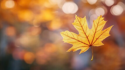 Close-up of a single yellow autumn leaf with bright orange trees in the background, set against a blurred bokeh backdrop, capturing the golden hues of fall in soft sunlight.