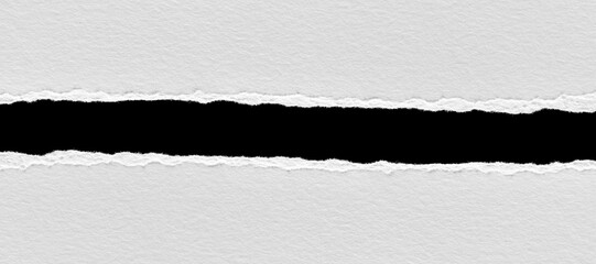 torn blank pages with uneven texture edges. set of ripped white paper sheets png isolated on...