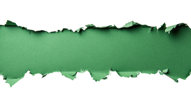 Cardboard Paper Torn on a white transparent background