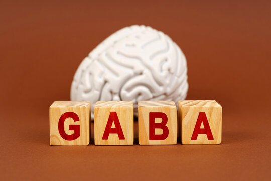 Understanding GABA's role in brain function and health through creative representation and anatomical visualization