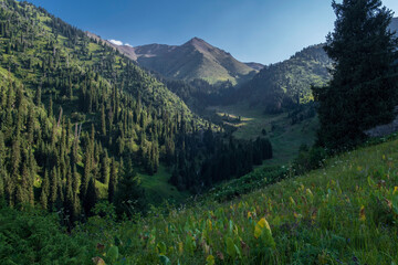 Gorelnik gorge in the mountains of Almaty, Kazakhstan in summer with the Chasovaya peak in the...
