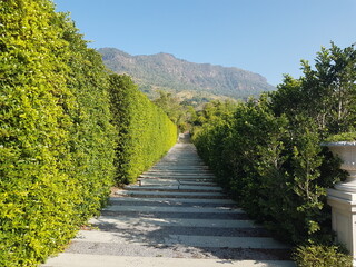 Pathway in the garden with brush and beautifully clear blue sky.