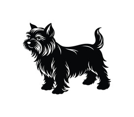 affenpinscher silhouette vector o transparent background