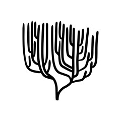 Coral icon vector. Coral reef illustration sign. Algae symbol. Marine life logo.