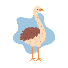 Cute Ostrich Brown African Big Bird Nature Wildlife Animal Character