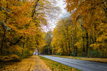 park in Hannover in fall