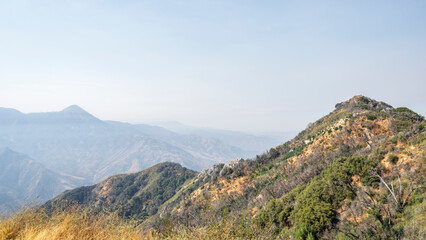 View of the peaks of the Sierra Nevada mountain range, California, USA.  The distand peaks are hazy in the bright sunlight, and pine tree cover the foreground