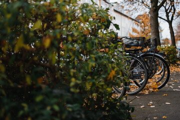 Fototapeta premium bicycle on the street surrounded by fallen leaves in Hanover