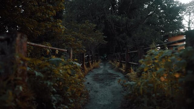  a serial killer dumbing the body of a victim in the forest from the top of a bridge 