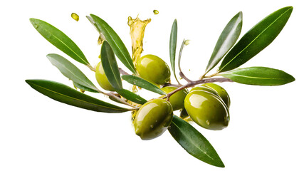 olive branch Splashes on a white isolated background. Generative AI.