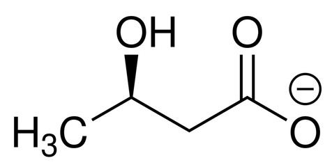Hydroxybutyrat Ketogenese Chemie Strukturformel Vektor