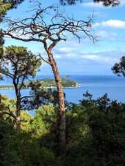 view from Büyükada hill on the bay and Istanbul