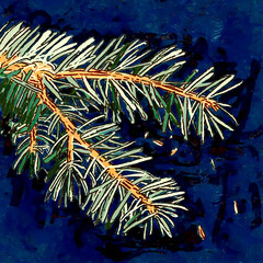 fir tree branch