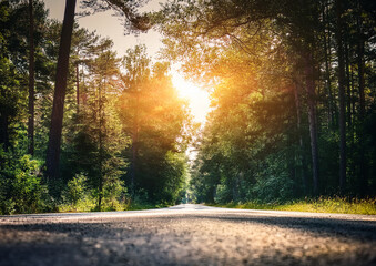 Obraz premium 森と道路のイメージ背景