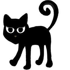 black and white cat