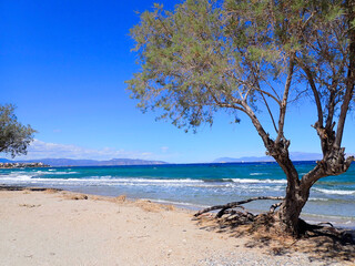 Greece Agistri Island Skala Beach