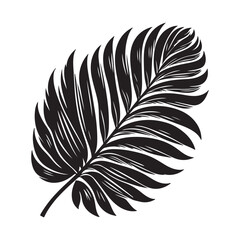 Obraz premium tropical leaf. silhouette vector design