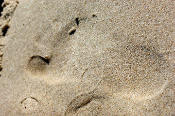 Sand on desert beach close-up footprint