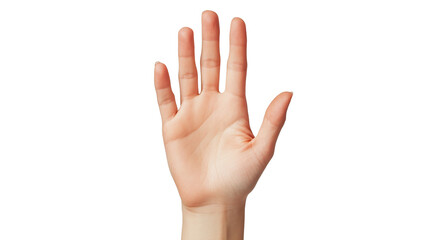 Fototapeta premium hand gesture on a transparent background