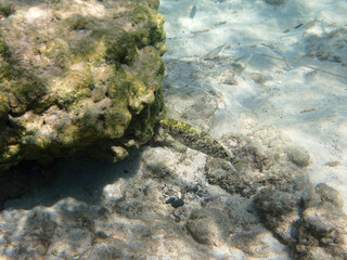 Greece Agistri Island under water