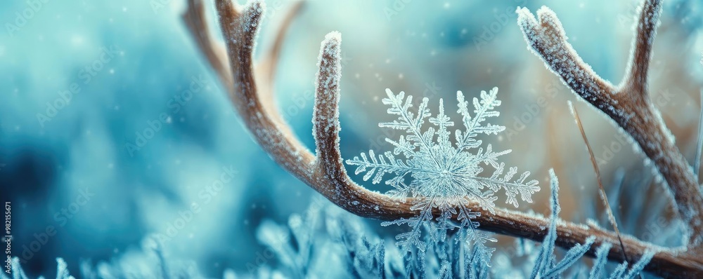 Poster a close-up of a frosty antler with a delicate snowflake resting on it, surrounded by a serene winter