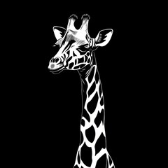Obraz premium Giraffe Portrait.