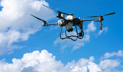 Drone is flying in the sky over a Rice field