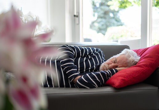 Closeup portrait of sleeping senior man with beard, peaceful grandfather resting on sofa at home, enjoying midday nap in living room. Seniors lifestyle concept