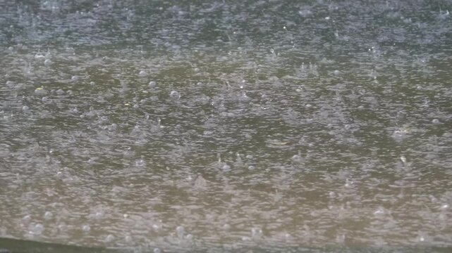 rain on a flowing puddle Rain drops falling on clean clear background. 