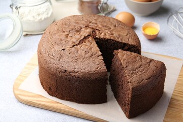 Cut chocolate sponge cake and ingredients on light table, closeup