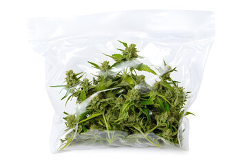 Cannabis plastic weed cannabis plant herbs pack  isolated on white background
