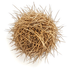 Fototapeta premium Round Dry Tumbleweed Ball isolated on white
