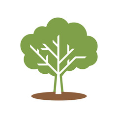 Tree silhouette vector illustration Isolated on White  background. Deciduous, Oak, Pine trees for Garden and Park Design