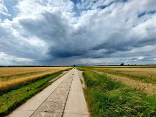Road through field with stormy sky and horizon in the countryside on an overcast day