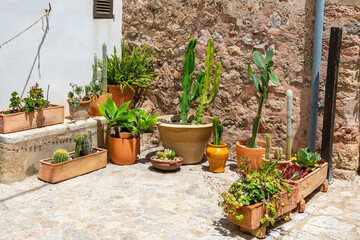 Ansammlung von mehreren Töpfen und Terrakottatöpfen mit Pflanzen, Sukkulenten, Kakteen vor einem Haus in Mallorca, Spanien,