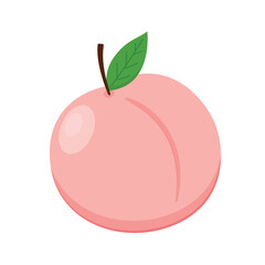 Peach cartoon vector. Doodle peach with leaves icon. Peach fruit in shape of heart isolated on white background. Farm, natural food, fresh fruits.