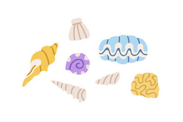 Seashells set. Marine sea shells, beach coastal conch, tropical scallop, underwater mollusc, clam, shellfish collection. Ocean design elements. Flat vector illustration isolated on white background