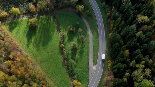 Aerial view of autumn trees on a sunny day in the Black Forest, Baar, Heuberg, Baden-Württemberg, Germany