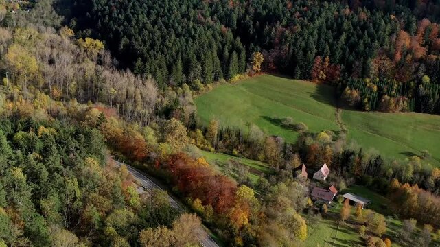 Aerial view of autumn trees on a sunny day in the Black Forest, Baar, Heuberg, Baden-W&uuml;rttemberg, Germany