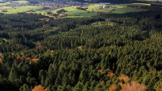 Aerial view of autumn trees on a sunny day in the Black Forest, Baar, Heuberg, Baden-W&uuml;rttemberg, Germany