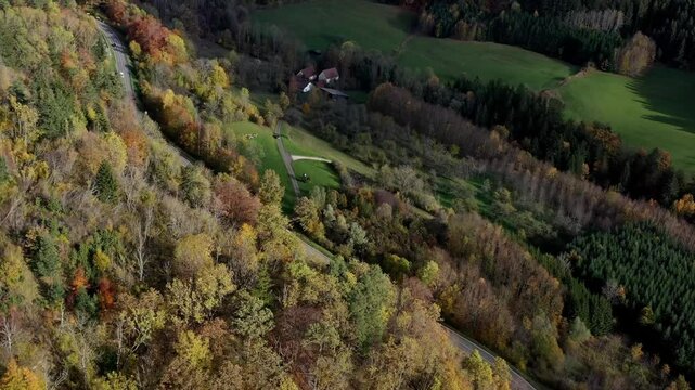 Aerial view of autumn trees on a sunny day in the Black Forest, Baar, Heuberg, Baden-W&uuml;rttemberg, Germany