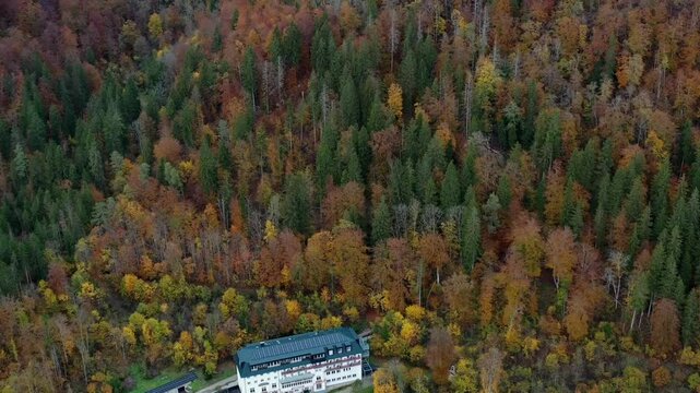 Aerial view of autumn trees on a sunny day in the Black Forest, Baar, Heuberg, Baden-W&uuml;rttemberg, Germany
