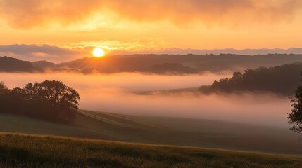 Obraz premium A serene sunrise over misty hills, casting beautiful golden hues across the landscape, evoking peace and tranquility.