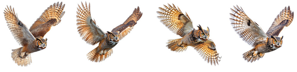 Majestic owls in flight over a tranquil evening landscape Transparent Background.