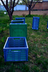 plastic boxes for vegetables lie on the grass