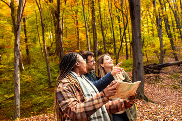 Fototapeta premium Three friends having fun and enjoying hiking in forest using map for direction.