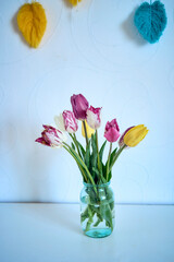  bouquet of multicolored tulips in a transparent jar in the interior