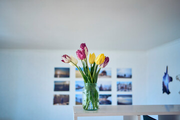 bouquet of multicolored tulips in a transparent jar in the interior